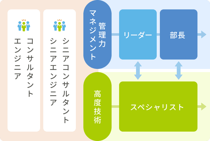 キャリアパスイメージ